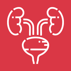 Заболевания мочевыделительной системы