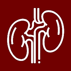 Заболевания почек