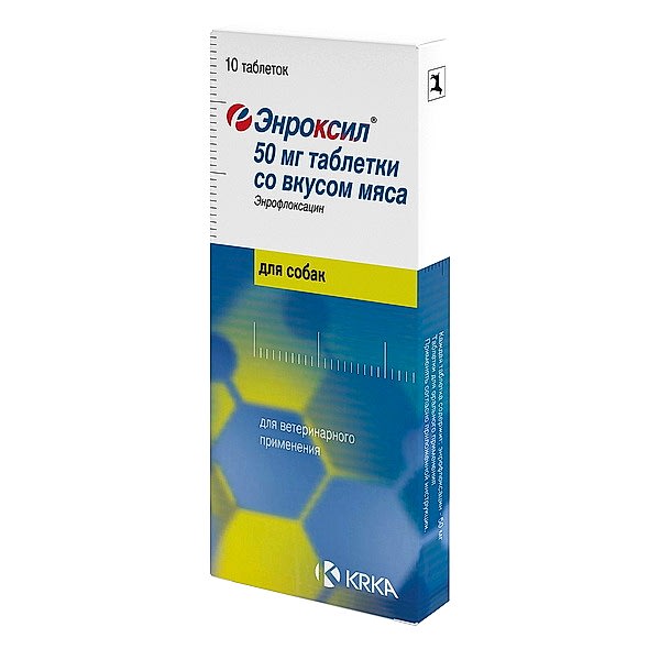 Энроксил 50 мг, 10 табл/упак купить в Алматы Энроксил 50 мг, 10 табл/упак купить в Алматы