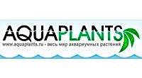 Aqua Plants