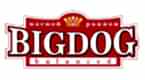 Big Dog