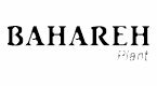Bahareh