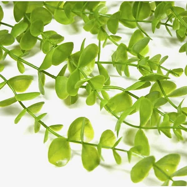 Simple Zoo Растение для террариума Нити капельки с корешками