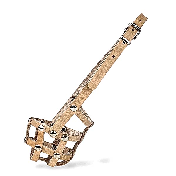 Намордник 18к