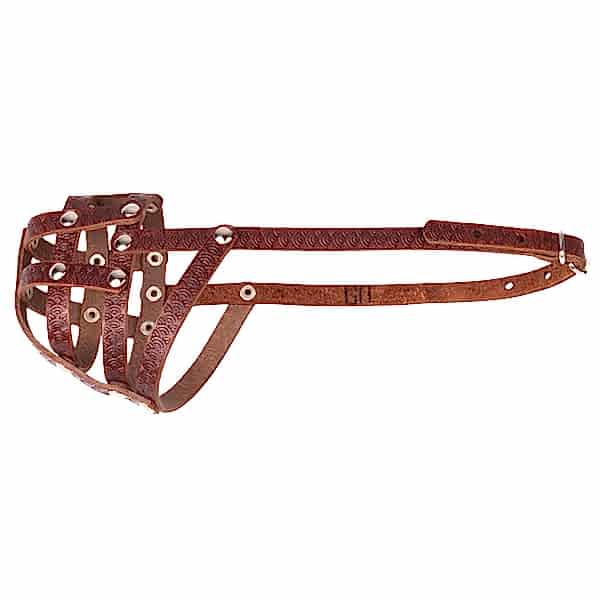 Намордник сетч. Спаниель (Наша РР)