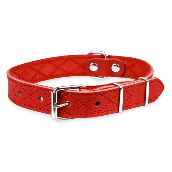 Ошейник Новара 20 мм красный