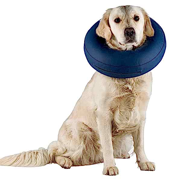 Trixie Защитный надувной воротник, S (24-31 см), синий