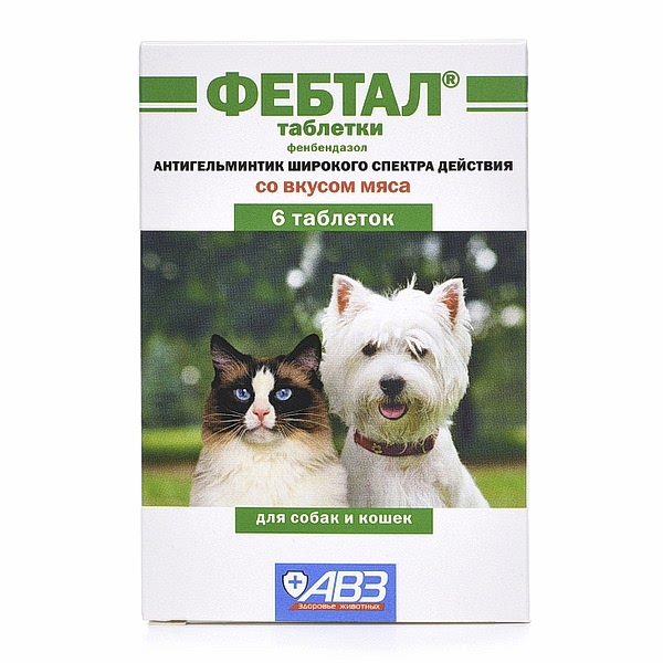Фебтал 6таб