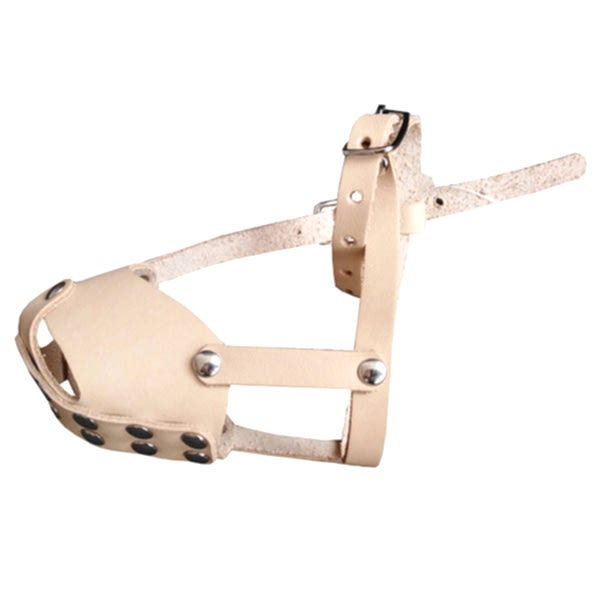 Наша РР Намордник "М1"(14 см) д/пород чихуахуа,фален,карликовый шпиц,йорк,той-терьер